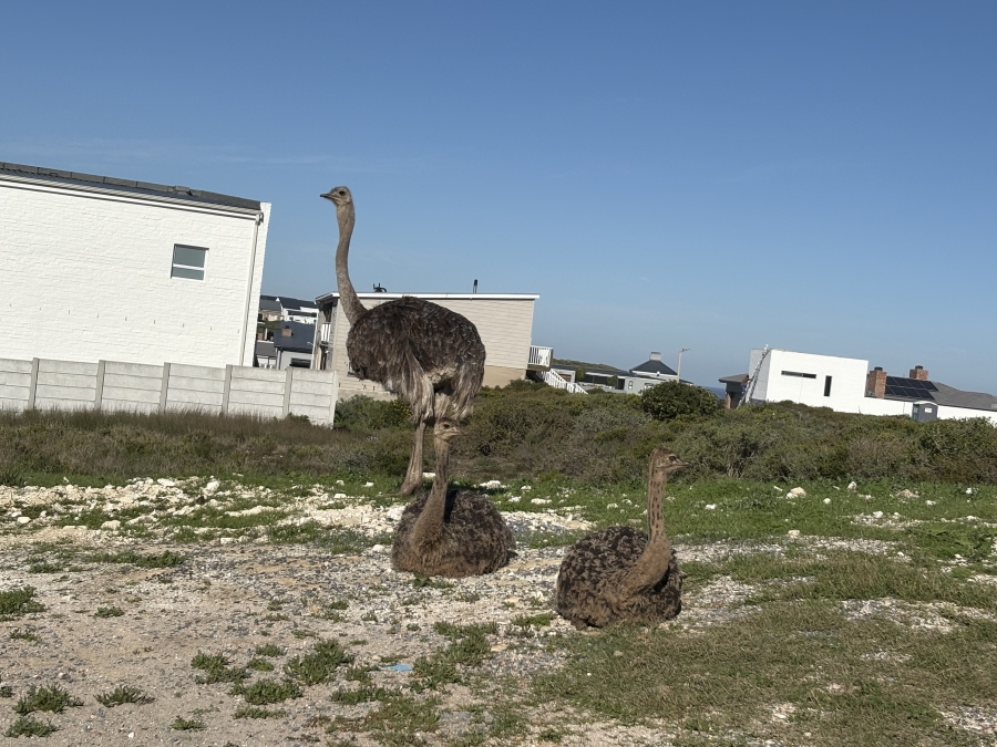3 Bedroom Property for Sale in Fishermans Haven Estate Western Cape